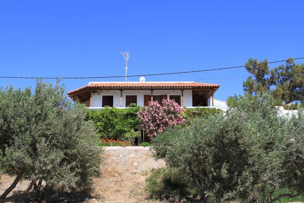 Traditional Olive House Makrýgialos エクステリア 写真