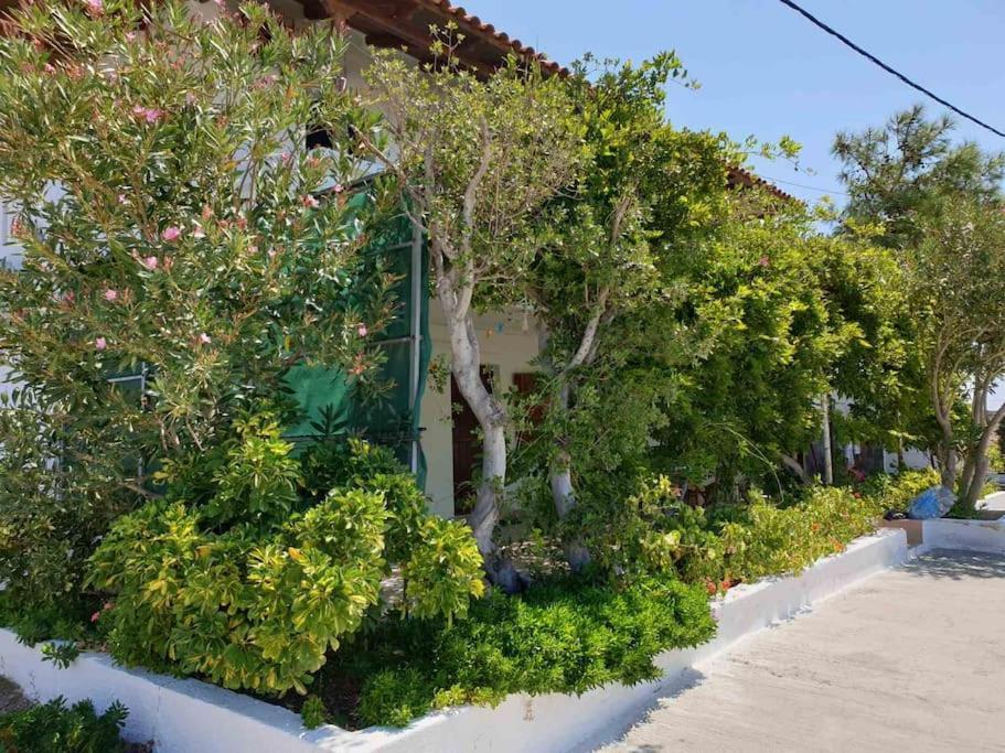 Traditional Olive House Makrýgialos エクステリア 写真